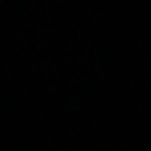 Meet your Posher, Jessy